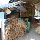 모정 마을회관? 이미지