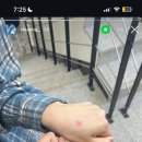 조이엘 미디어