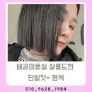 살롱드현 네이버블로그