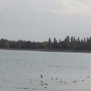 호수언저리 이미지