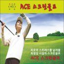 ACE스크린골프 이미지