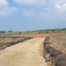 무릉1리마을회관 이미지