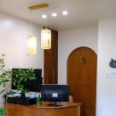 우다닥 고양이호텔 이미지