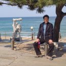 정동진역 이미지