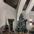 에코랜드 | 제주 에코랜드 호텔 숙박 후기｜객실 &amp; 조식 솔직 리뷰