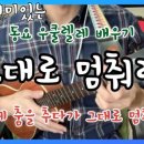 (초보자를 위한) 우쿨렐레 이미지