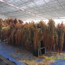 북암농장 이미지