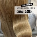 은진모터스 | 킨텍스미용실 담따 | 손상모발전문 클리닉 | 디자이너가 1:1로 케어해주는 일산미용실 | 대화동미용실...