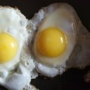 청계복지농장 이미지