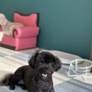 홀리몰리살롱 이미지