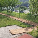 도전분교 이미지