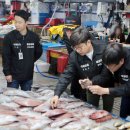 동해-단속-22 이미지