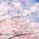 건축사사무소 봄 건축연구소 이미지