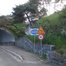 대가야식당 이미지