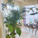 라폼의원 이미지