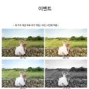 위드레벨업 | 웨딩촬영 사설보정 원본처럼 자연스러운 "위드웨딩" 전후 비교o 솔직후기