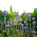 조경기능사(필기) 이미지