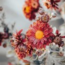 동주동물병원 이미지