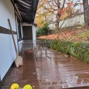 송선생댁 이미지