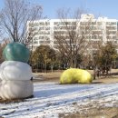 형형색색의바위들 이미지