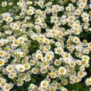 수성아트복싱클럽 수성1가점 이미지