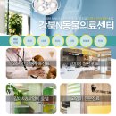 노원N동물의료센터 이미지