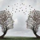 언어심리학 이미지