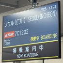 세마 사슴 | 9번째 일본, 나고야