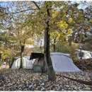 경주힐링캠프 | 경주글램핑 자연과 역사를 품은 경주힐링캠프 후기