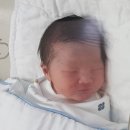 벨콩
