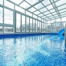 디디모스 이미지