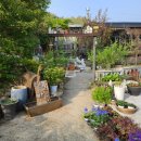 더하루펜션 이미지