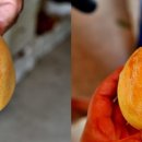 안골농원 이미지