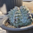 인석농장 이미지