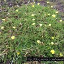 우정빨래방 이미지