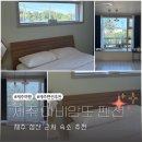 제주도 감성숙소 추천! 창밖뷰 미쳤던 제주 아비앙또 펜션 후기