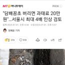 서울시 담배꽁초 버리면 과태료 20만원 이미지