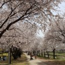 황구지천 이미지