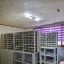 라피스게코 | [라피스게코]아잔틱 입양후기 ^^