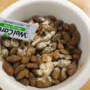 (주)벨벳케어 이미지