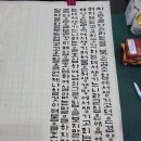 박카스 부작용과 호캉스준비 이미지