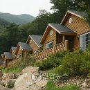 정광레포츠 이미지
