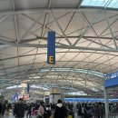 퓨전 차이나 | 에어차이나 청두 CA401, 402편 비즈니스 탑승 후기(라운지/좌석/기내식)