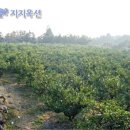 남원읍-33 이미지