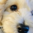 멍그라운드 이미지