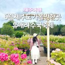 6월 제주도 가볼만한곳 수국축제 휴애리 할인 예매 후기