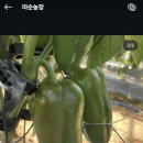 따순농장 네이버블로그