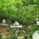 대덕화 | 삼각산 도선사 (서울특별시 강북구)