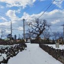 봉아저씨네 민박 이미지