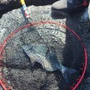 뉴환상민박 이미지